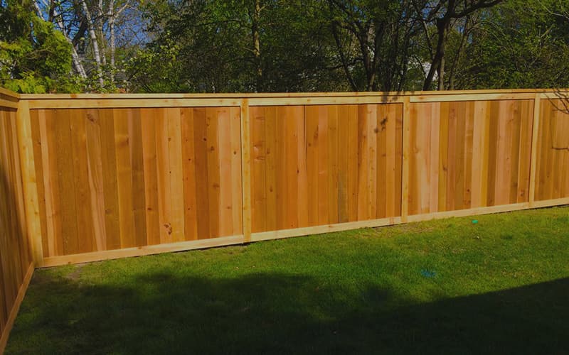 backyard fence